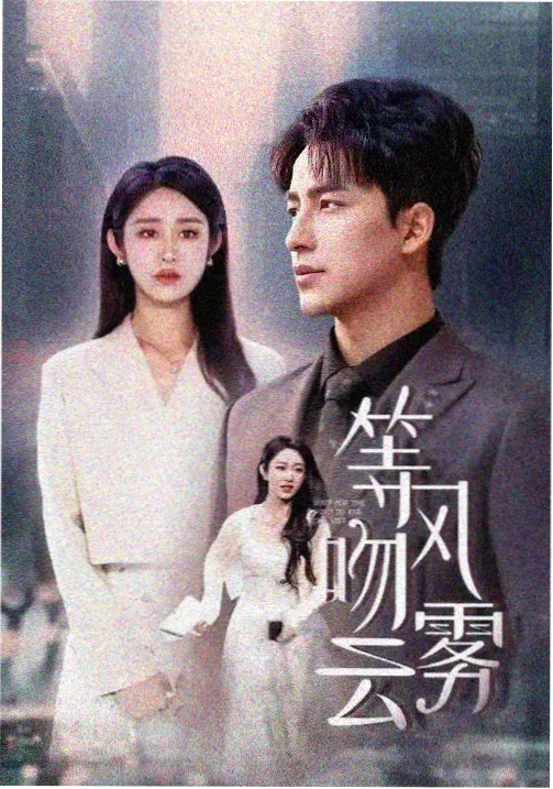 成全视频在线观看 都市剧